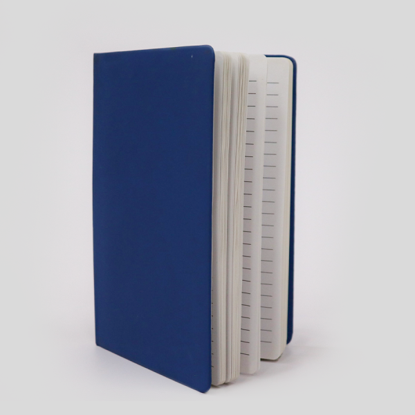 Agenda azul